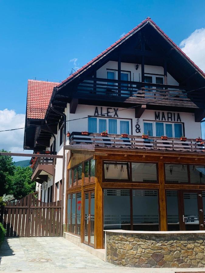 Alex & Maria 호텔 Cărpinişu 외부 사진